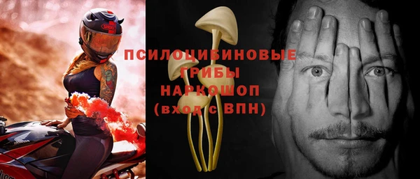 шишки Алексеевка