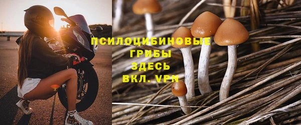 шишки Алексеевка