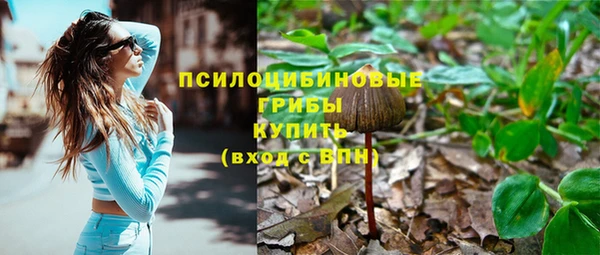 шишки Алексеевка