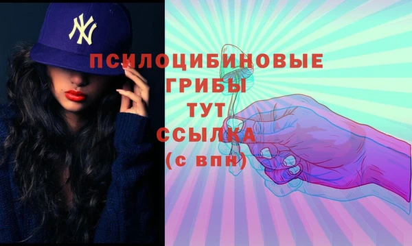 шишки Алексеевка