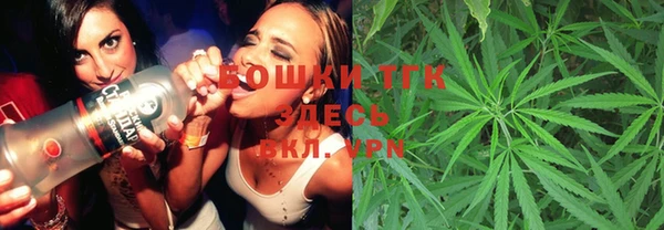 ешки Алексин