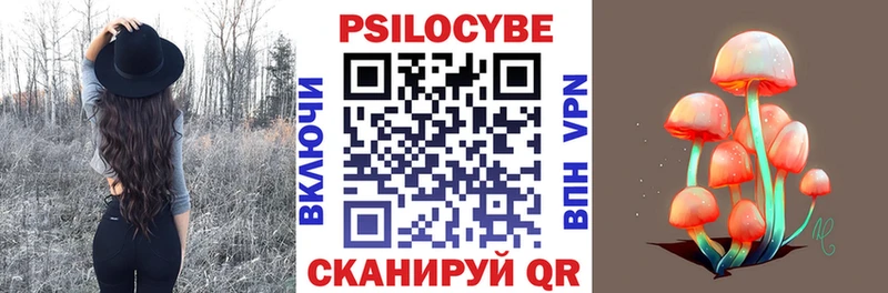 дарк нет наркотические препараты  где купить наркоту  Стародуб  Галлюциногенные грибы Cubensis 